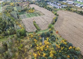 Nowy zielony zakątek na mapie Wrocławia! Mieszkańcy zdecydują, jak będzie wyglądał Park Wojnowski