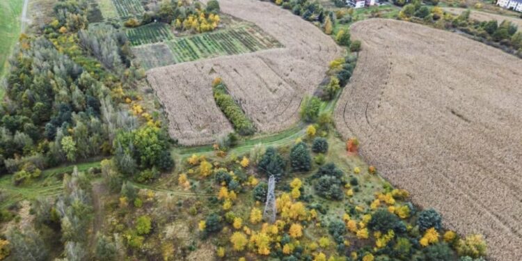 Nowy zielony zakątek na mapie Wrocławia! Mieszkańcy zdecydują, jak będzie wyglądał Park Wojnowski