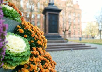 Wrocław tonie w jesiennych barwach. Tysiące nowych roślin zmienia wygląd miasta