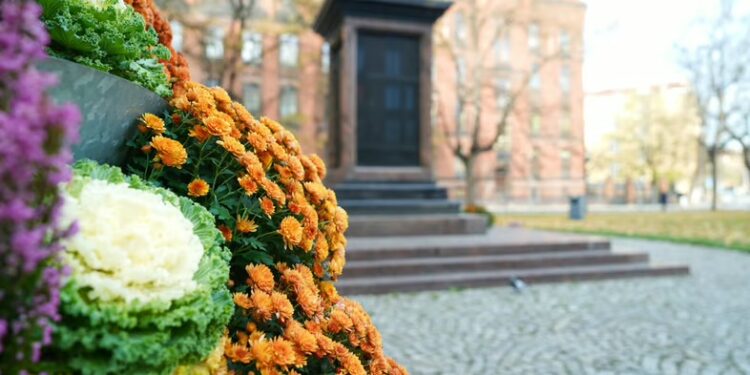 Wrocław tonie w jesiennych barwach. Tysiące nowych roślin zmienia wygląd miasta