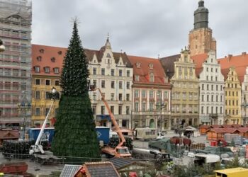 Magiczne odliczanie do świąt! Wrocławska choinka już stoi – sprawdź, kiedy rozbłyśnie pełnym blaskiem