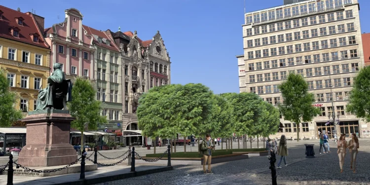 Wrocławski Rynek czeka wielka przemiana. Ponad sto drzew odmieni historyczne centrum miasta