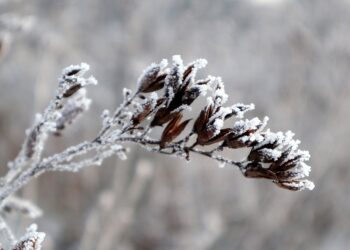 IMGW ostrzega: śnieg, gołoledź i „szklanka” na drogach przez cały poniedziałek