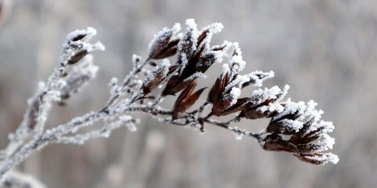 IMGW ostrzega: śnieg, gołoledź i „szklanka” na drogach przez cały poniedziałek