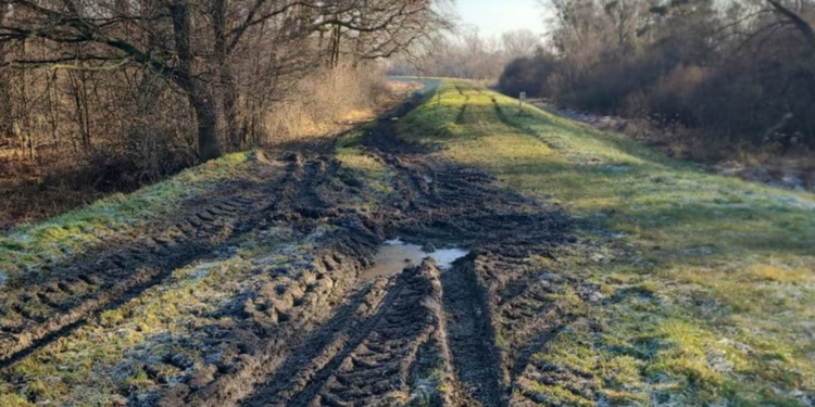 Krytyczne zniszczenia wałów pod Wrocławiem. Służby wodne w trybie alarmowym
