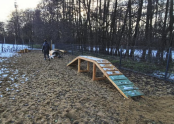 Nowy hit dla czworonogów na Stabłowicach. Ekopark zyskał kolejny psi wybieg i liczne udogodnienia