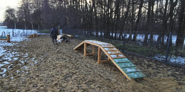 Nowy hit dla czworonogów na Stabłowicach. Ekopark zyskał kolejny psi wybieg i liczne udogodnienia