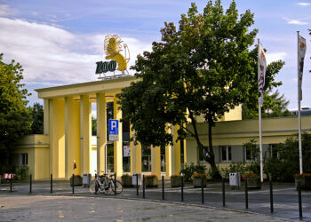 Nowy pawilon przy bramie głównej ZOO Wrocław. Co zmieni się jeszcze w tym roku?