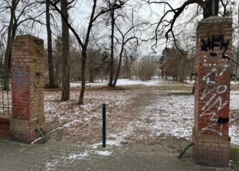 Nowy park już w drodze! Wrocław zyska zieloną przestrzeń w sercu Karłowic