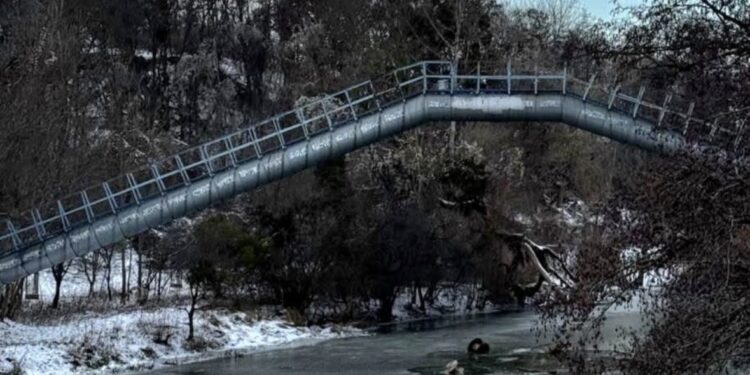 Weszli na gazociąg nad skute lodem koryto rzeki. Interwencja służb we Wrocławiu mogła zapobiec tragedii