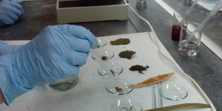 Nauka po zmroku we Wrocławiu. Noc Biologów z darmowymi warsztatami i pytaniami o życie