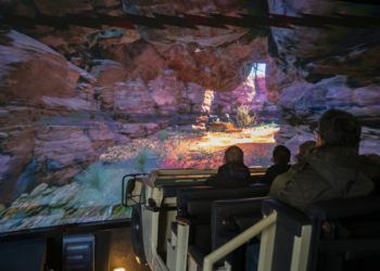 Hummerem przez sawannę bez wyjazdu z Polski. Wrocławskie zoo uruchamia nową atrakcję