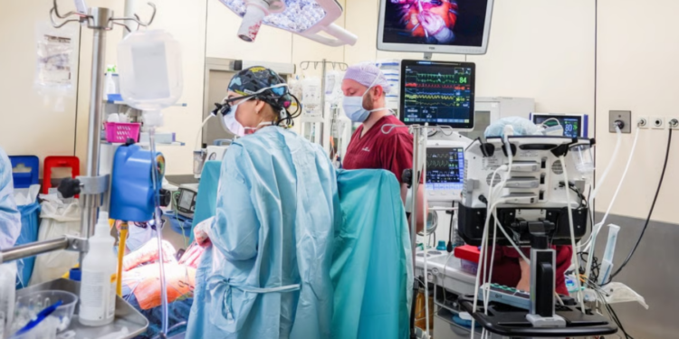 Rekord na Borowskiej. Wrocławscy lekarze dokonali historycznej liczby przeszczepów serca
