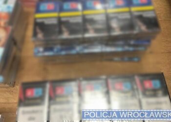 Nielegalne papierosy na „Giełdzie Gołębi” we Wrocławiu. Policja zabezpieczyła tysiące sztuk i zatrzymała 39-latka